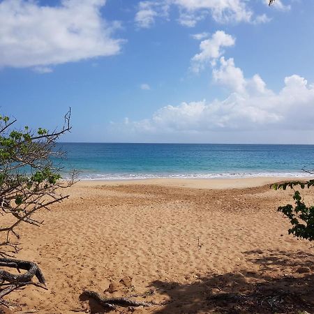 L'Aurielle, Tout Le Confort A 500M De La Plage ซานต์-โรส ภายนอก รูปภาพ